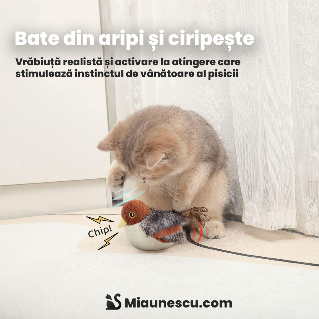 Păsăroiul Pupu™