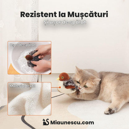Păsăroiul Pupu™